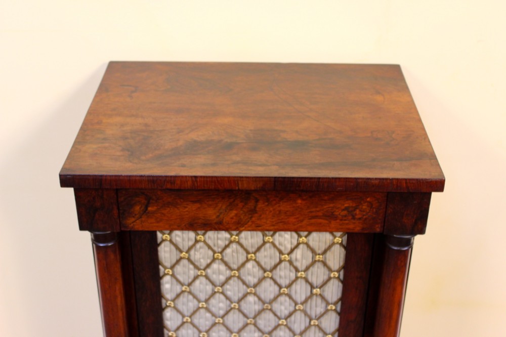 A 19th-century rosewood pier cabinet featuring a single door with a brass wire grille over pleated fabric, flanked by turned columns. View IV