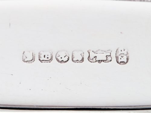 SILVER PLATE AND CROCODILE SKIN HIP FLASK - ADDITIONAL PHOTO 5