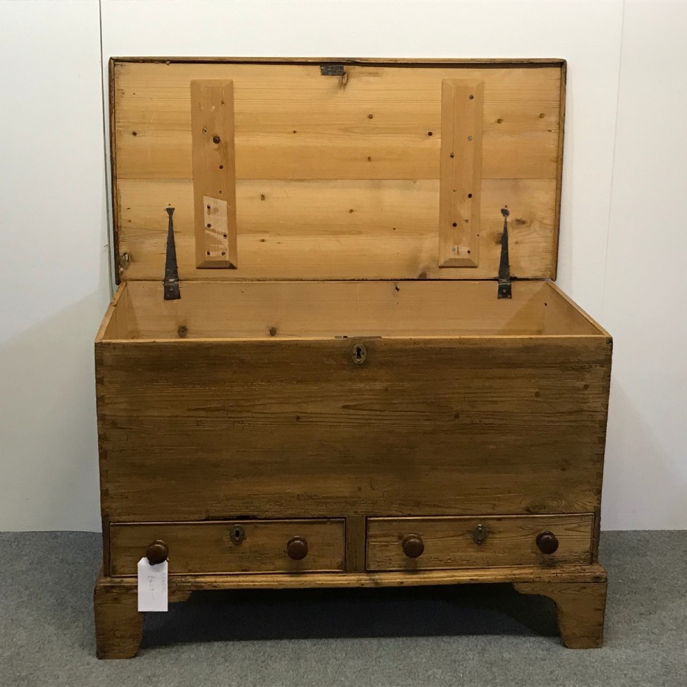 LARGE GEORGIAN MULE CHEST  View II