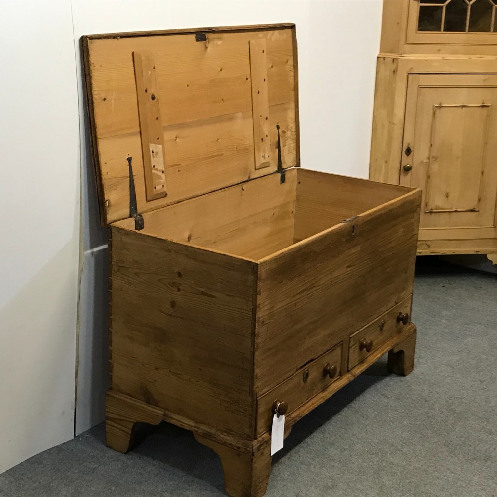 LARGE GEORGIAN MULE CHEST  View III