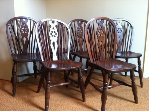 A Rare Set of 6 Early 19th C Yew Wood Single Chairs