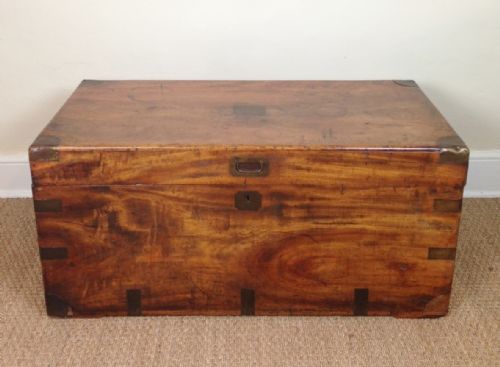 A Well Figured 19th C Camphor and Brass Banded Trunk C 1880