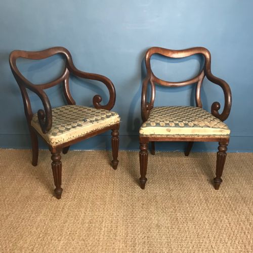 A Pair of William IV Mahogany Armchairs C 1835 with Original Needlework Seats .