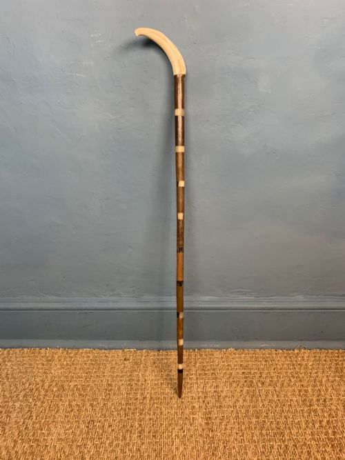 An  Unusual Late 19th Century Colonial Horn and Malacca Gentleman’s Cane