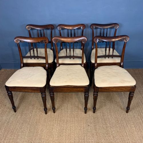 A Set of Six William 1v Rosewood Dining Chairs Circa 1835