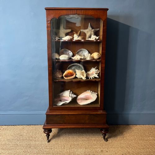 An Early Victorian Mahogany Shell Cabinet Circa 1850