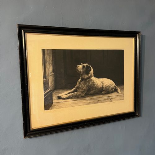 fig 1. Herbert Dicksee. An early 20th c dry point etching of a Dog entitled The Closed Door