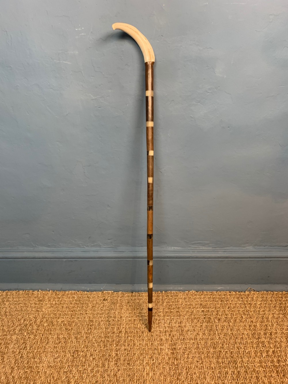 An  unusual late 19th century colonial Horn and Malacca Gentleman’s Cane