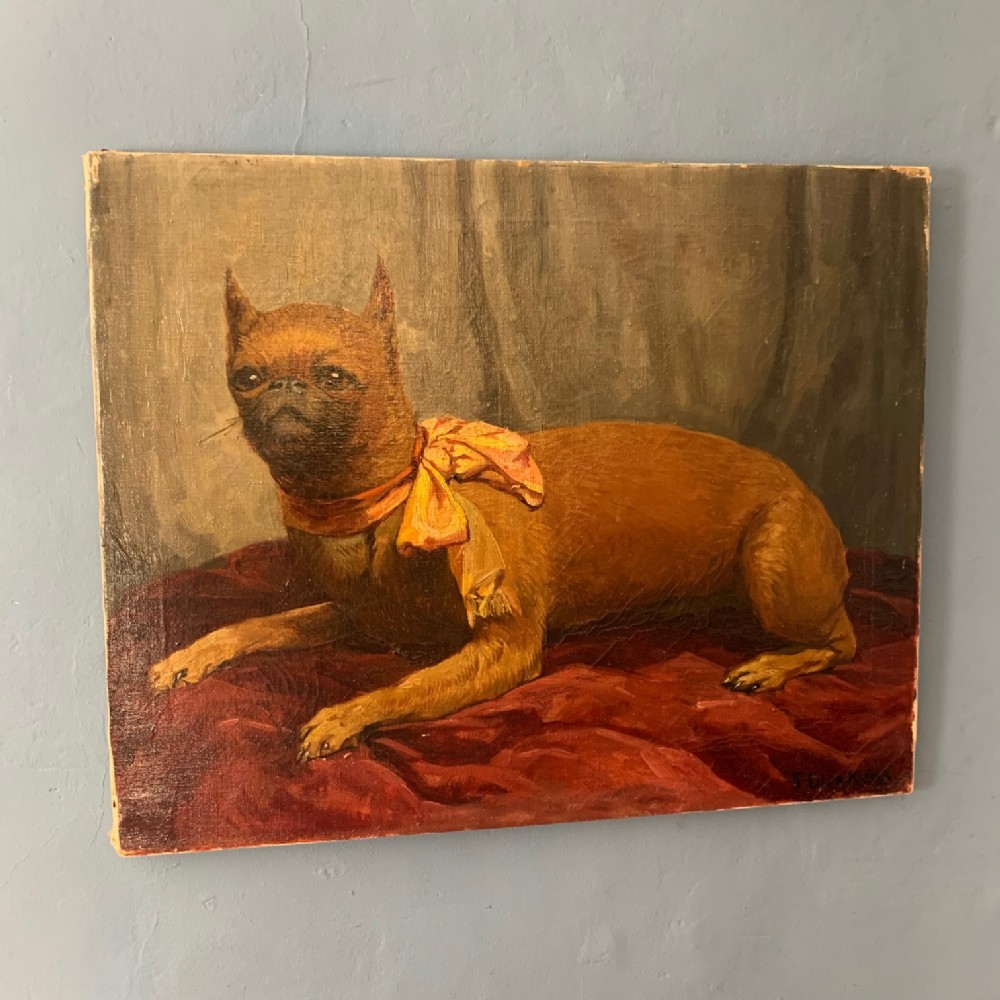 A late 19th c English School oil on canvas circa 1890 of a Brussels Griffon
