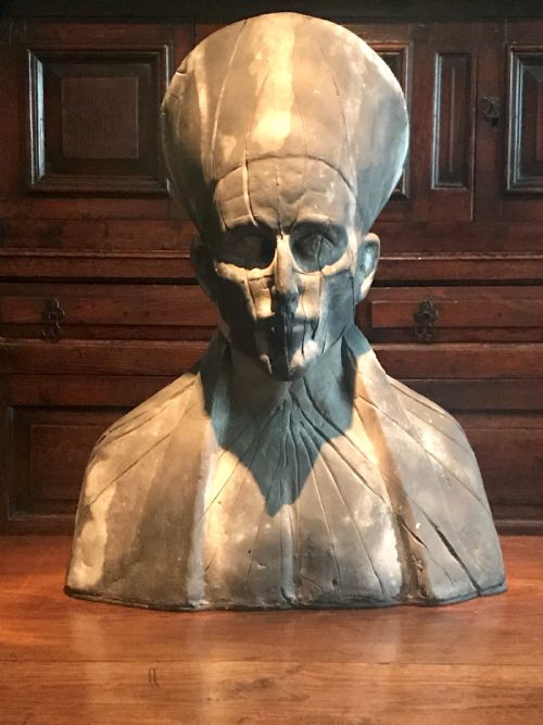 'the cardinal' a pottery bust by john fortnum