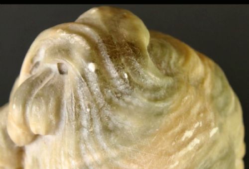 ART NOUVEAU STATUE IN ALABASTER OF A YOUNG WOMAN STANDING IN A POOL C1900 - ADDITIONAL PHOTO 7