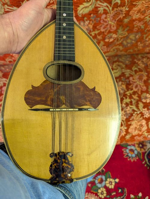 19TH CENTURY ITALIAN 8 STRING FLAT BACK MANDOLIN - ADDITIONAL PHOTO 1