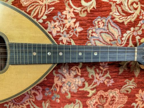 19TH CENTURY ITALIAN 8 STRING FLAT BACK MANDOLIN - ADDITIONAL PHOTO 7