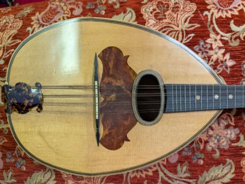 19TH CENTURY ITALIAN 8 STRING FLAT BACK MANDOLIN - ADDITIONAL PHOTO 9
