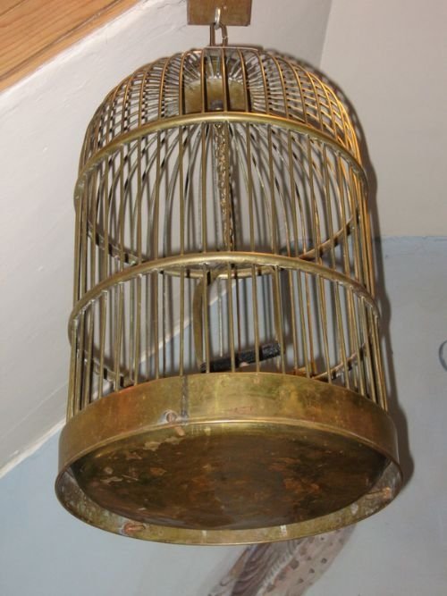 Edwardian Brass Birdcage