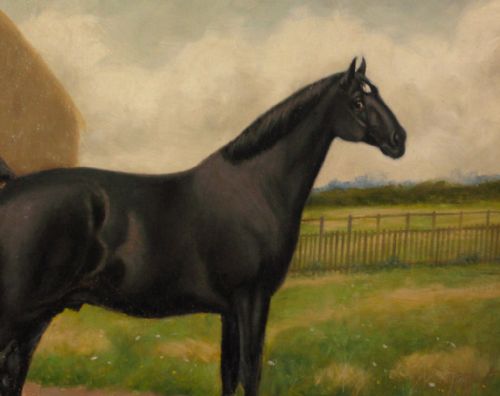 HORSE PORTRAIT OIL BY JOHN MILNER - ADDITIONAL PHOTO 3