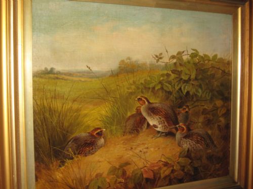 SUPERB LARGE PAIR OF GAME BIRD OIL PAINTINGS - ADDITIONAL PHOTO 2