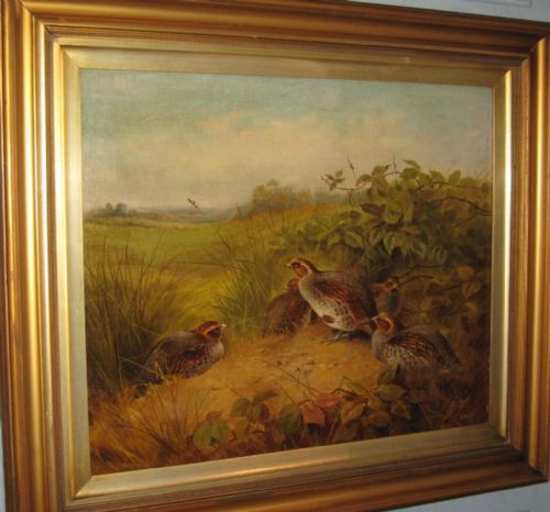 SUPERB LARGE PAIR OF GAME BIRD OIL PAINTINGS - ADDITIONAL PHOTO 1