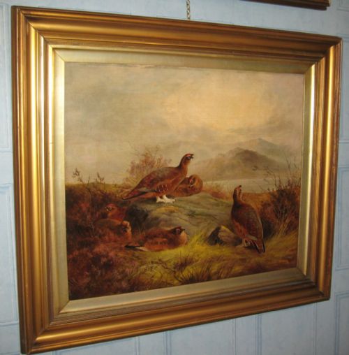 SUPERB LARGE PAIR OF GAME BIRD OIL PAINTINGS - ADDITIONAL PHOTO 4