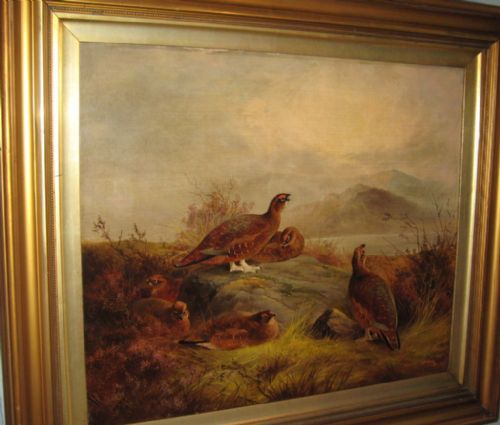 SUPERB LARGE PAIR OF GAME BIRD OIL PAINTINGS - ADDITIONAL PHOTO 5