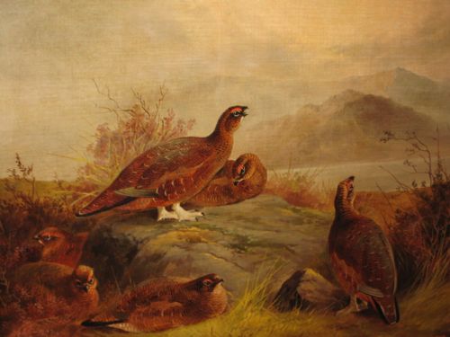 SUPERB LARGE PAIR OF GAME BIRD OIL PAINTINGS - ADDITIONAL PHOTO 6
