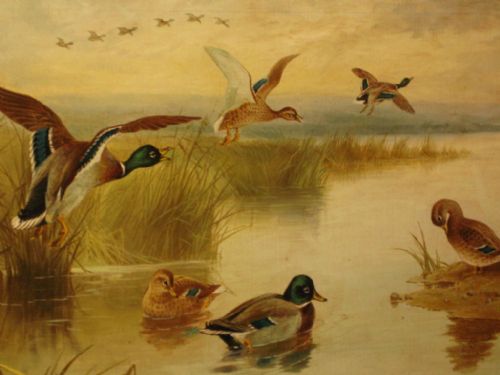 OIL OF MALLARD DUCKS AT DUSK - ADDITIONAL PHOTO 3