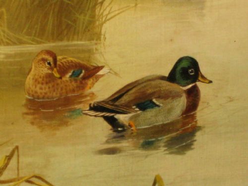 OIL OF MALLARD DUCKS AT DUSK - ADDITIONAL PHOTO 4
