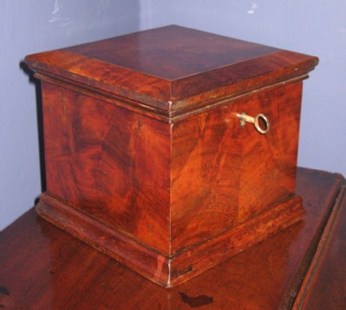 REGENCY MAHOGANY PEDESTAL TEA CADDY - ADDITIONAL PHOTO 2