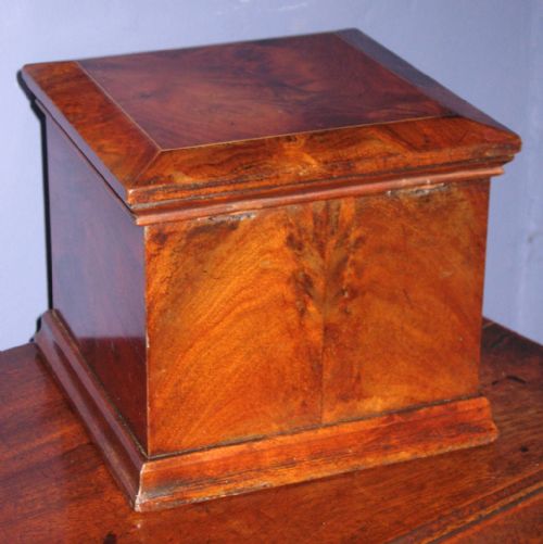 REGENCY MAHOGANY PEDESTAL TEA CADDY - ADDITIONAL PHOTO 5