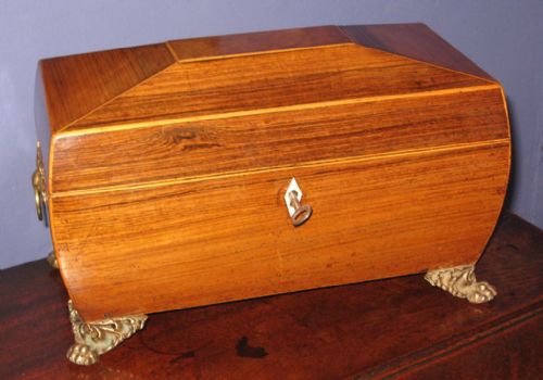 regency rosewood bombe shape tea caddy - CATEGORY: ANTIQUE BOXES - DATED 1800
