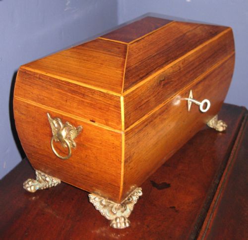 REGENCY ROSEWOOD BOMBE SHAPE TEA CADDY - ADDITIONAL PHOTO 1
