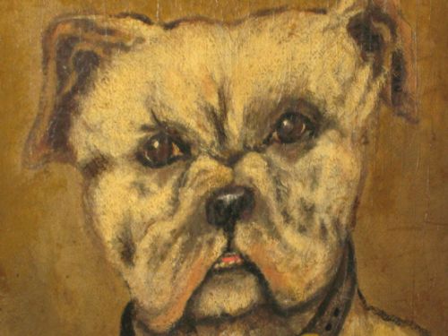 VICTORIAN OIL PAINTING OF A BULLDOG - ADDITIONAL PHOTO 3