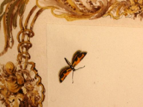 VICTORIAN STILL LIFE STUDY IN WATERCOLOUR - ADDITIONAL PHOTO 3