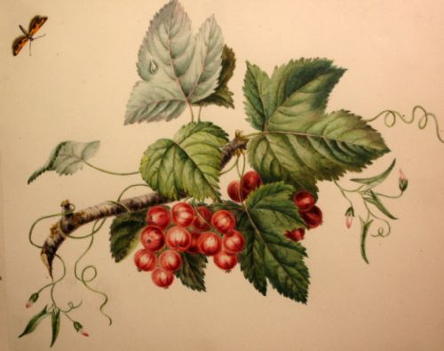 VICTORIAN STILL LIFE STUDY IN WATERCOLOUR - ADDITIONAL PHOTO 7