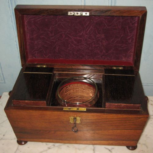 FINE REGENCY ROSEWOOD TEA CADDY - ADDITIONAL PHOTO 1