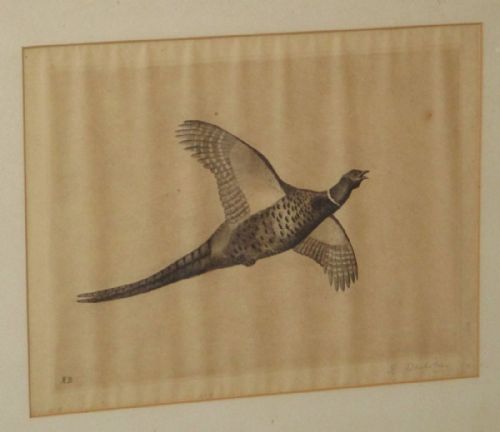 PAIR ETCHING OF GAME BIRDS IN FLIGHT - ADDITIONAL PHOTO 3