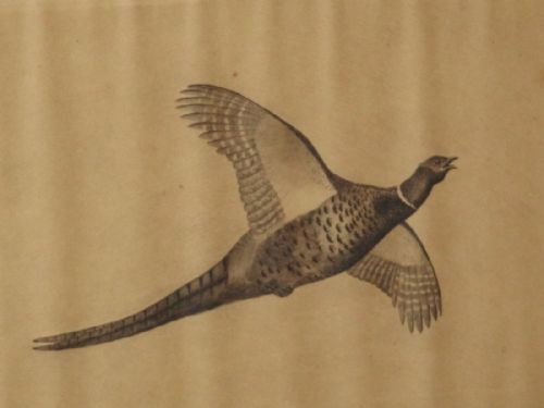 PAIR ETCHING OF GAME BIRDS IN FLIGHT - ADDITIONAL PHOTO 4
