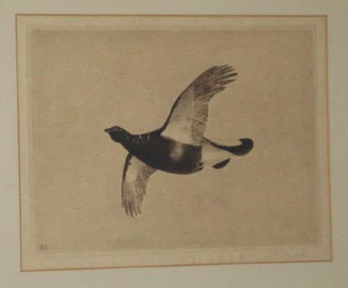PAIR ETCHING OF GAME BIRDS IN FLIGHT - ADDITIONAL PHOTO 5