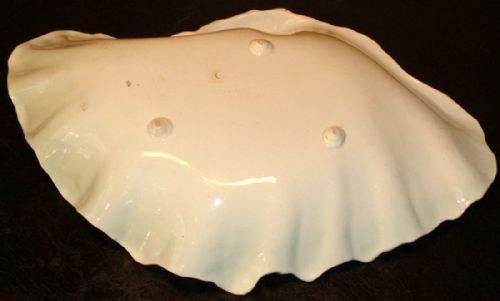 WEDGWOOD CREAMWARE SHELL DISH - ADDITIONAL PHOTO 5