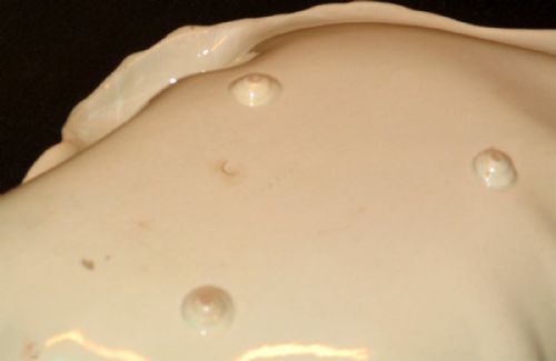 WEDGWOOD CREAMWARE SHELL DISH - ADDITIONAL PHOTO 6