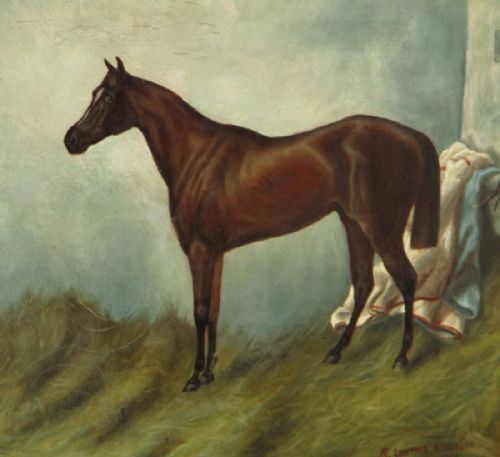 EDWARDIAN OIL PAINTING OF A HORSE - ADDITIONAL PHOTO 3