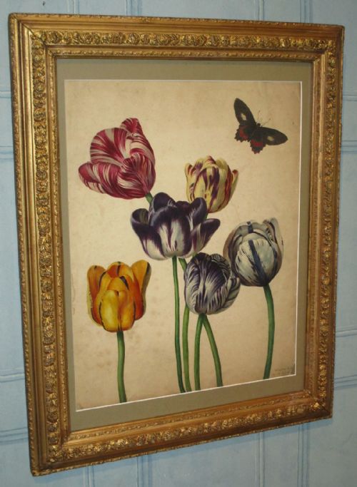 superb regency botanical watercolour - CATEGORY: ANTIQUE ART - DATED REGENCY