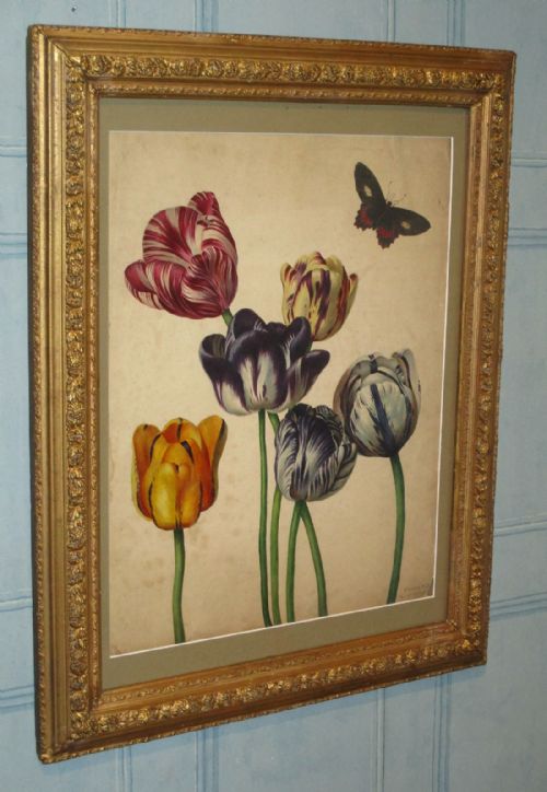 SUPERB REGENCY BOTANICAL WATERCOLOUR - ADDITIONAL PHOTO 1