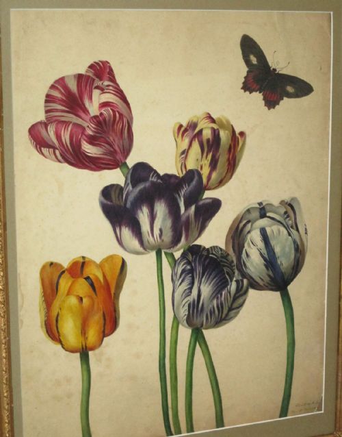 SUPERB REGENCY BOTANICAL WATERCOLOUR - ADDITIONAL PHOTO 2