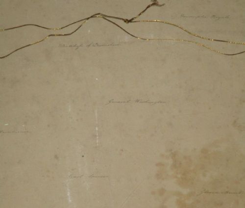 SUPERB REGENCY BOTANICAL WATERCOLOUR - ADDITIONAL PHOTO 7