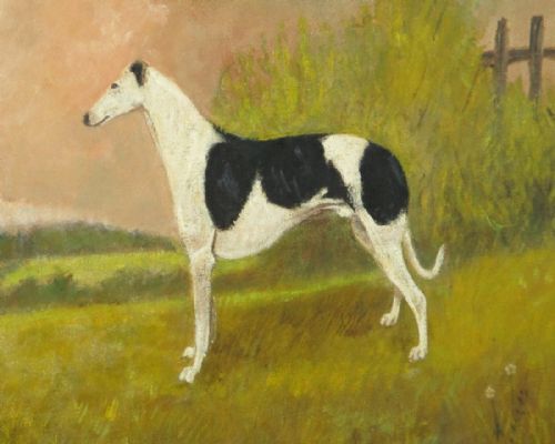 SUPERB NAIVE OIL PAINTING OF A GREYHOUND - ADDITIONAL PHOTO 3