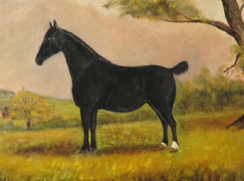 SUPERB NAIVE SCHOOL OIL PAINTING OF A HORSE - ADDITIONAL PHOTO 3