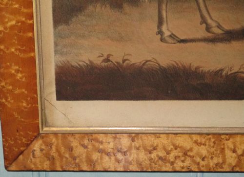 'THE RUTLAND PRIZE OX' REGENCY PRINT - ADDITIONAL PHOTO 3