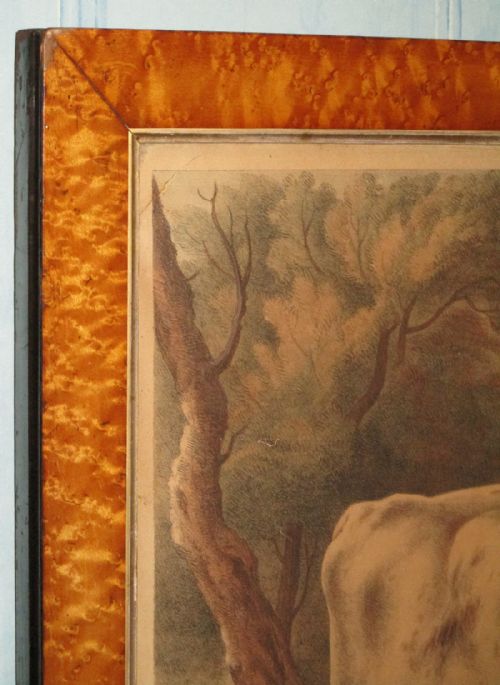 'THE RUTLAND PRIZE OX' REGENCY PRINT - ADDITIONAL PHOTO 6