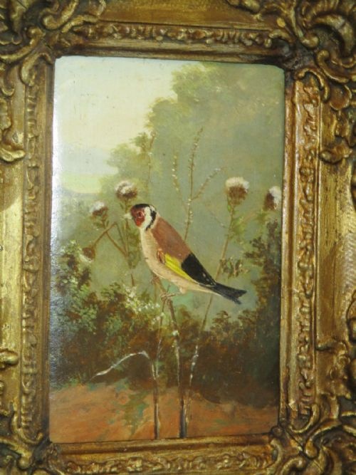 CHARMING OIL PAINTING OF A GOLDFINCH - ADDITIONAL PHOTO 1